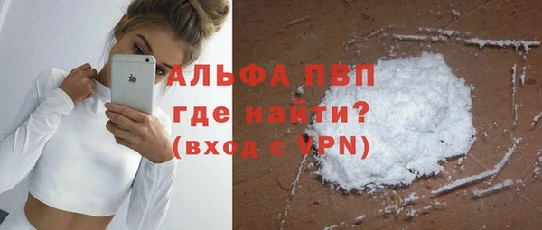 гашик Алексин