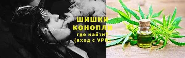 прущие грибы Абдулино