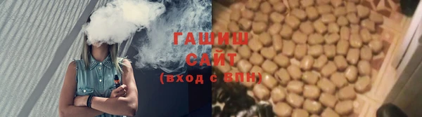 гашик Алексин