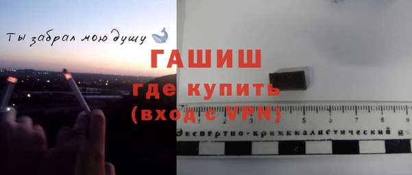 гашик Алексин