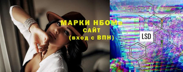 гидра Алзамай