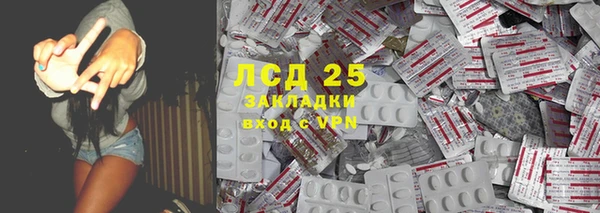 гашик Алексин