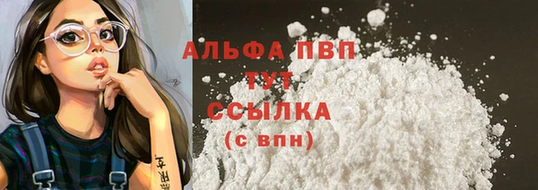 гашик Алексин