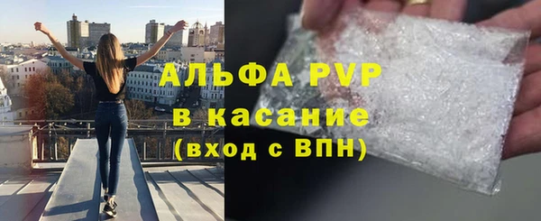 гашик Алексин