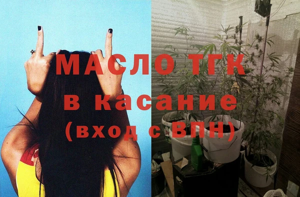 гашик Алексин